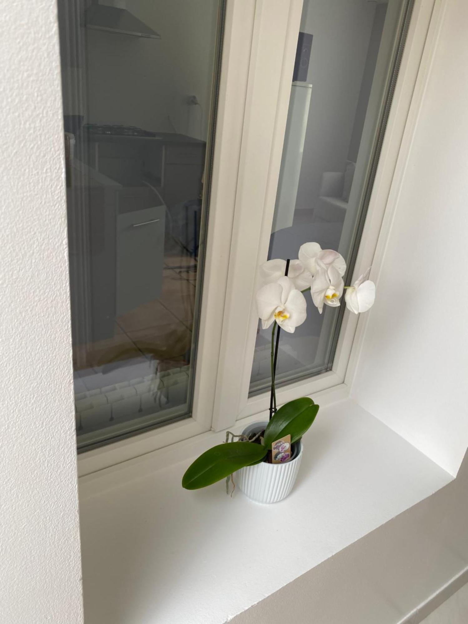 Ferienhaus Maison Calme Et Confortable *